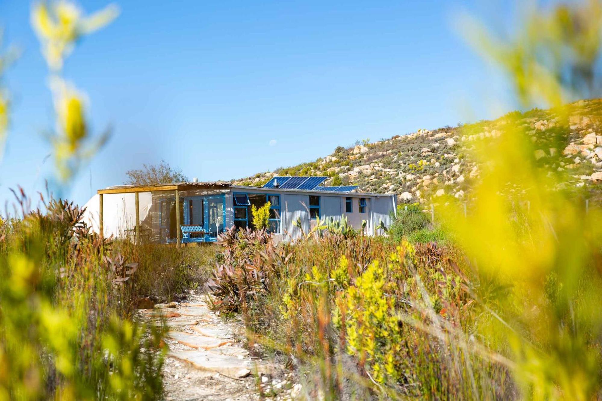 Starry Starry Night - Route 62 Villa Montagu Exterior photo